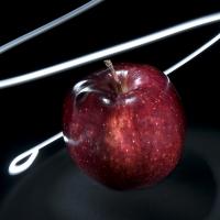 An apple being lite by a pinpoint flashlight