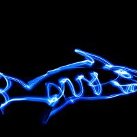 A picture of a shark made out of light