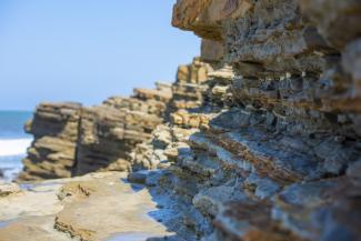 Close up picture of rocks near tidepools in Cabrillo National Monument